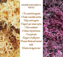 Load image into Gallery viewer, Sea Moss Gel Superfood (Purple or Gold)
