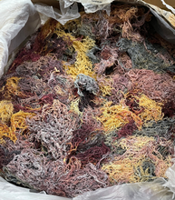 Load image into Gallery viewer, Sea Moss Gel Superfood (Only Full Spectrum available)
